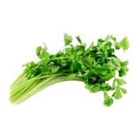 ราคา ขึ้นฉ่าย 150 กรัม แพ็คละ (7275696554179)