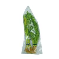 ราคา ผักชี และ ขึ้นฉ่าย 300 ก. (7275696062659)