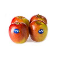 ราคา แอปเปิ้ลแจ๊ส # 113 - ลูกละ (850798113584282)