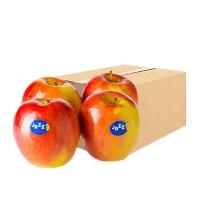 ราคา แอปเปิ้ลแจ๊ส เบอร์ 113 ยกลัง (663683959108755)