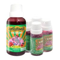 ราคา กิเลน น้ำยาอุทัยทิพย์ 15 มล. x 4 (973431810022345)