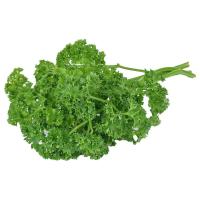 ราคา โครงการหลวง พลาสเล่ย์ (935276078651321)