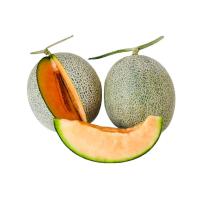 ราคา เมลอน เนื้อส้ม (1.2 กก./ลูก) (210417002769973)