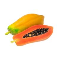 ราคา มะละกอฮอลแลนด์ สุก ยกลูก กก.ละ (833417230641741)