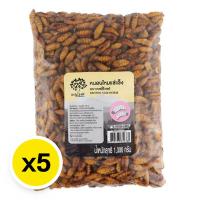 ราคา ดักแด้ไหมแช่แข็ง1กก. ยกลัง (851602397504057)