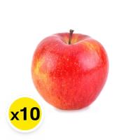 ราคา แอปเปิ้ลเอนวี่# 120 - แพค 10 (680898175631863)