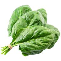 ราคา ผักปลังอินทรีย์ 300กรัม แพ็คละ (646472624059416)