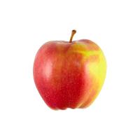 ราคา แอปเปิ้ลแจ๊ส # 113 - แพ็ค 6 (587838427380757)