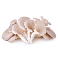 ราคา เห็ดนางฟ้าครีมอินทรีย์ แพค200กรัม (7422341906627)