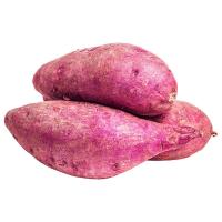 ราคา มันหวานญี่ปุ่นนำเข้า750ก.แพ็คละ (201806032678989)