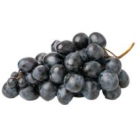 ราคา องุ่นดำไร้เมล็ด Usa - กก.ละ (776460306131619)