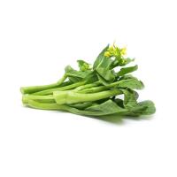 ราคา ยอดดอกกวางตุ้ง 500 ก. (665810534629264)