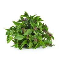 ราคา โหระพาฝรั่ง 100 กรัม (7352884691139)