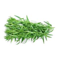 ราคา ทารากอน Taragon 100 กรัม (7497442033859)