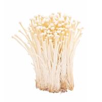 ราคา สหฟาร์มเห็ด เห็ดเข็มทอง 200 ก. (7275685347523)