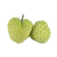 ราคา น้อยหน่าเพชรปากช่อง กก.ละ (425301267472960)