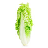 ราคา ผักกาดหางหงษ์ (rpf) กก.ละ (228572667417015)