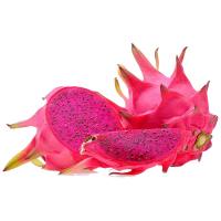 ราคา แก้วมังกรเนื้อแดง กก.ละ (103354738454522)