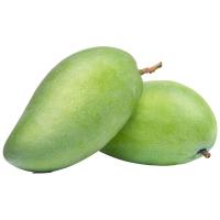 ราคา มะม่วง นวลคำ กก.ละ (117198751449170)