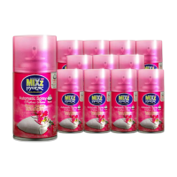 ราคา มิกซ์ รีฟิล สเปรย์ออโต้ 300มล. สวีทดรีม X 12 (505059812300301)