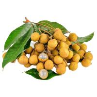 ราคา ลำไย พวงทอง 10 กก.ขึ้นไป กก.ละ (535850940260991)