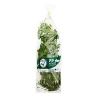 ราคา ตำลึง กก.ละ (44655798534747)