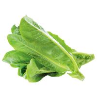 ราคา โครงการหลวง สลัดคอส แพ็ค 200 ก. (726853806844102)