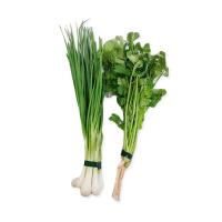 ราคา ต้นหอม+ผักชี 100 กรัม แพ็คละ (7422335516867)