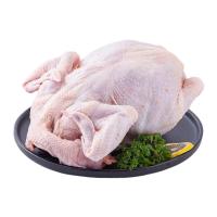 ราคา ไก่ล้วงเครื่องใน 1.6-1.8 กก./ตัว (486279400222730)