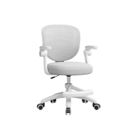 ราคา Elife เก้าอี้เด็ก ดีไซน์น่ารัก ปรับระดับได้ สีพาสเทล พนักพิงตาข่าย ระบาย เบาะนุ่ม แขนพับได้ เก้าอี้มีล้อ หมุนได้360° สีเทา (151946955524283)