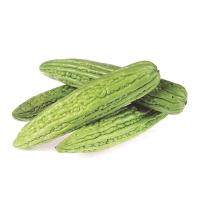 ราคา มะระจีน ยกถุง 5 Kg กก.ละ (284026749610999)