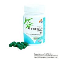 ราคา ฟ้าทะลายโจร Gpo 350mg 60เม็ดx1 (397430651357831)