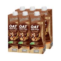 ราคา 4care Balance Oat Milk Plus รสช็อกโกแลต (1000 ml x 6 กล่อง) นมโอ๊ต ผสมน้ำนมอัลมอนด์และน้ำนมข้าวกล้องหอมมะลิ 6 กล่อง (190462413815453)