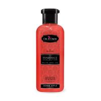 ราคา Chic&charm Conditioning Shampoo ชิคแอนด์ชาร์ม คอนดิชั่นนิ่งแชมพู สำหรับสุนัขและแมว Donna Apple,500ml. (168276977876461)