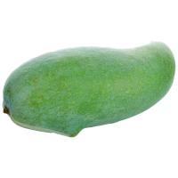 ราคา มะม่วงแรด กก.ละ (152098211574953)