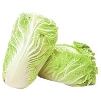 ราคา โครงการหลวง ผักกาดขาวปลี (266735435906471)