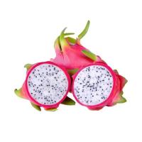 ราคา แก้วมังกรเวียดนาม เบอร์16-18 กล่อง (827216766101062)