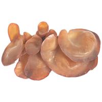 ราคา เห็ดหูหนูอินทรีย์ แพ็คละ (510691442462926)