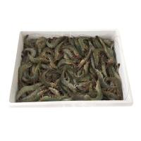 ราคา กุ้งขาว 41-50 ตัว/กก.(ยกลัง) (667047224261881)