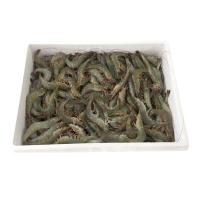 ราคา กุ้งขาว 51-60 ตัว/กก.(ยกลัง) (778878809502820)