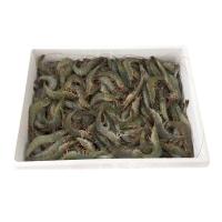 ราคา กุ้งขาว 31-35 ตัว/กก.(ยกลัง) (23352178791302)