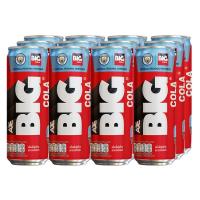 ราคา อาเจ บิ๊ก โคล่า 310 ml x12 (812711078742399)