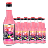 ราคา เรดดี้ บลิ้งค์ 150 มล. x 10 (565536676943089)