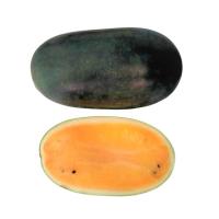 ราคา แตงโมตอร์ปิโดน้ำผึ้ง ยกลูก กก.ละ (770744753577299)