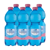 ราคา San Benedetto Still Mineral Water Pet Bottle 0.5 L (pack 6) (861301197540659)