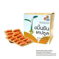 ราคา ไฟโตแคร์ ขมิ้นชันแคปซูล 10 เม็ด x 10 (999815181911482)