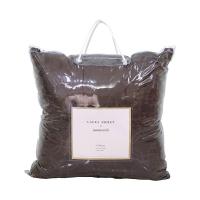 ราคา โมเมนโต X ลอร่า หมอนอิงใหญ่ 24x24 นิ้ว สีน้ำตาล (976050945314742)