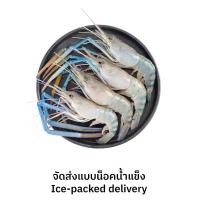 ราคา กุ้งก้ามกรามเล็ก (เป็น) กก.ละ (122240263068365)