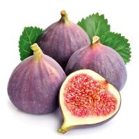 ราคา มะเดื่อฝรั่ง ( Fig) (909750305090827)