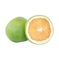 ราคา ส้มโอทองดี 1 ลูก (7275693211843)
